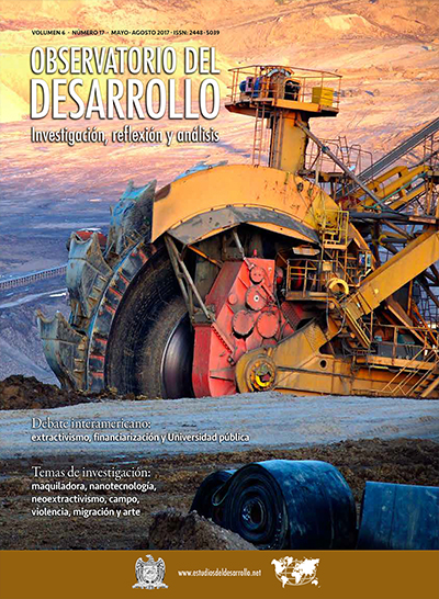 Revista Observatorio del Desarrollo 17