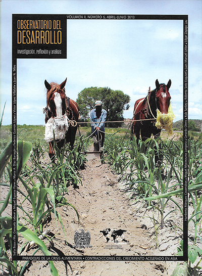 Revista Observatorio del Desarrollo 6