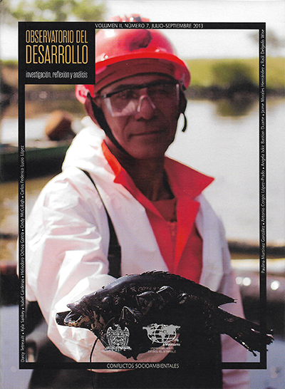 Revista Observatorio del Desarrollo 7